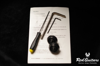 Platinum Series Single-Cut , e-volution 5 - Macassar Ebony